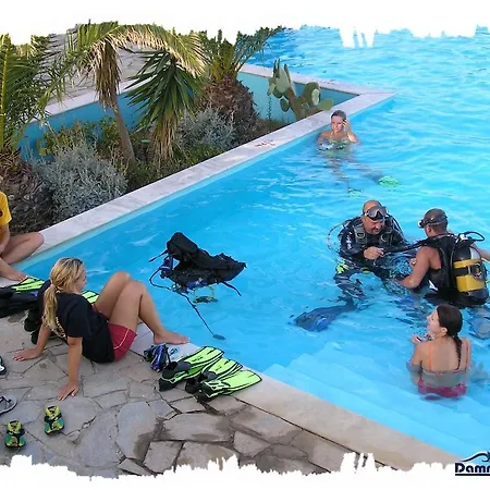 Bay Damnoni